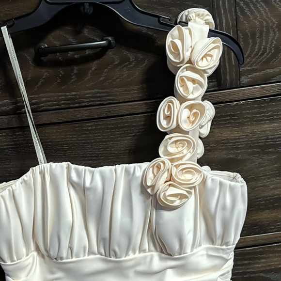 Cachet Dress - Picture 4 of 4